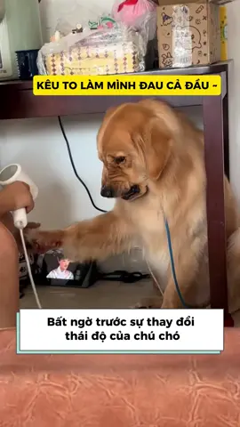 Rất nhạy cảm với ống kính đó nha 😆