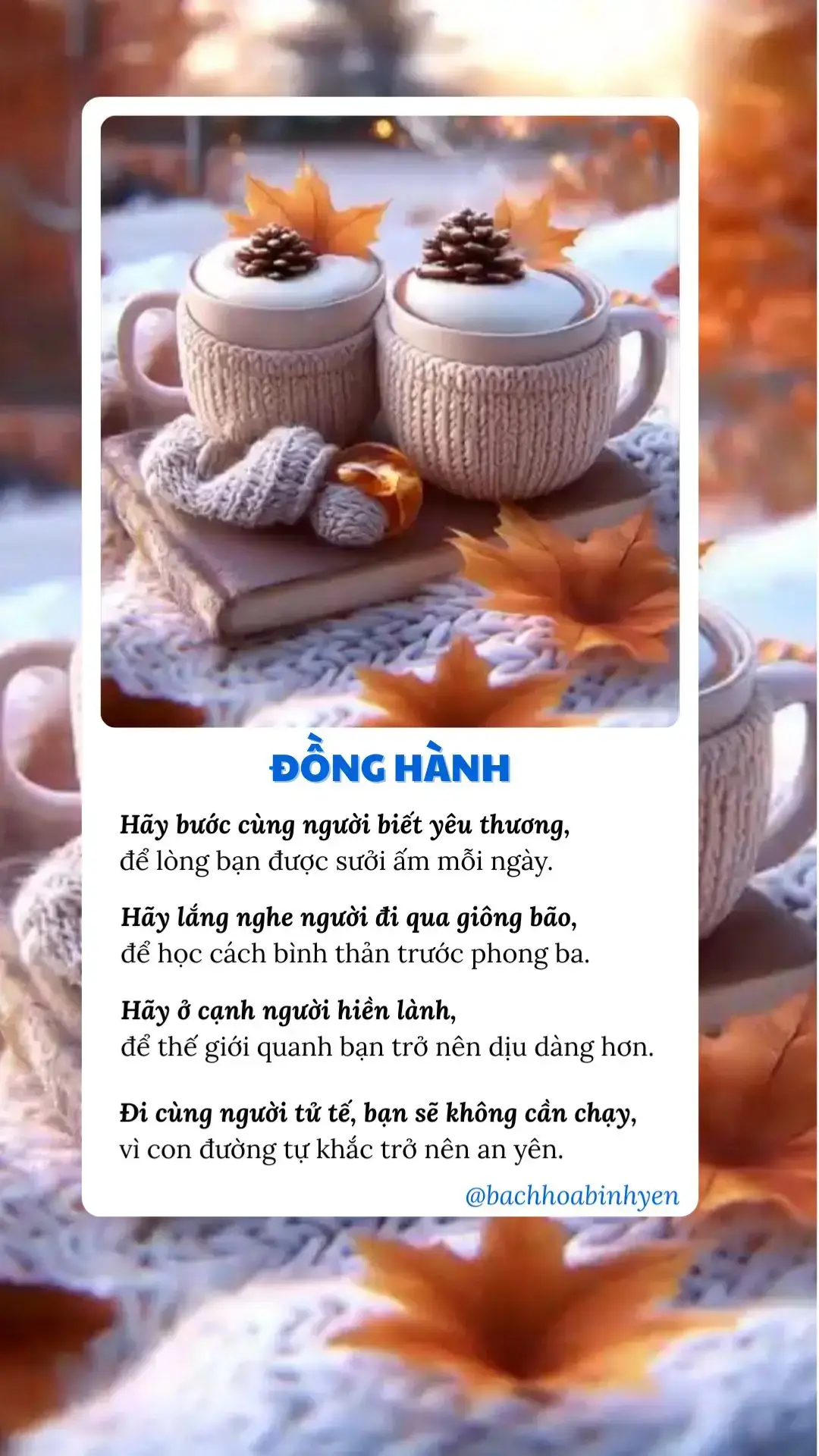 #bachhoabinhyen #loihayydep 