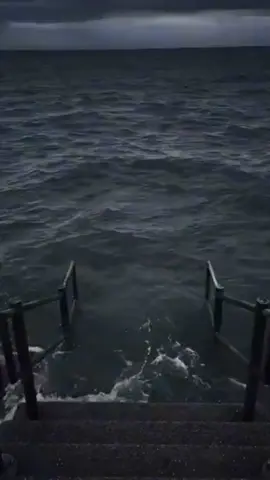 ถอยทำไมอะ🥲#แคท #freefireth #FFCTH 