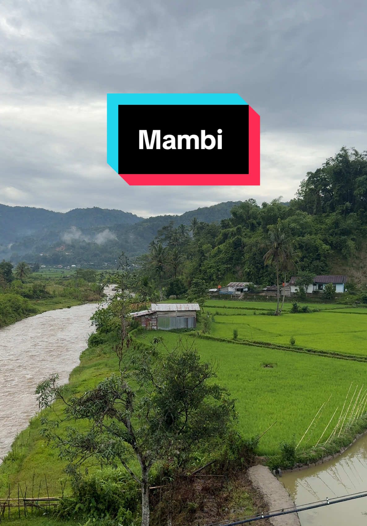 Mambi Merupakan Salah Satu Kecamatan Yang Ada di Kabupaten Mamasa Sulawesi Barat, Disana Banyak Tumbuh Buah Buahan Seperti Manggis dan Mangga, Alamnya Yang Indah Serta Udaranya Yang Sejuk Membuat Orang Yang Berkunjung Betah Berada Disana #mambi #wisataalam #kabupatenmamasa #sulawesibarat #kecamatanmambi 