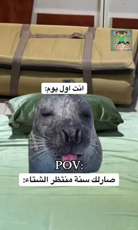 صارلك سنة منتظر الشته #viralvideo #الشعب_الصيني_ماله_حل😂😂 #تحشيش_عراقي #ميمز_عراقي #ميمزاوي 