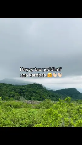 Hayyy👋🏻👋🏻#bugispride🏝️ #fypbugistiktok #bissmilahfyp 