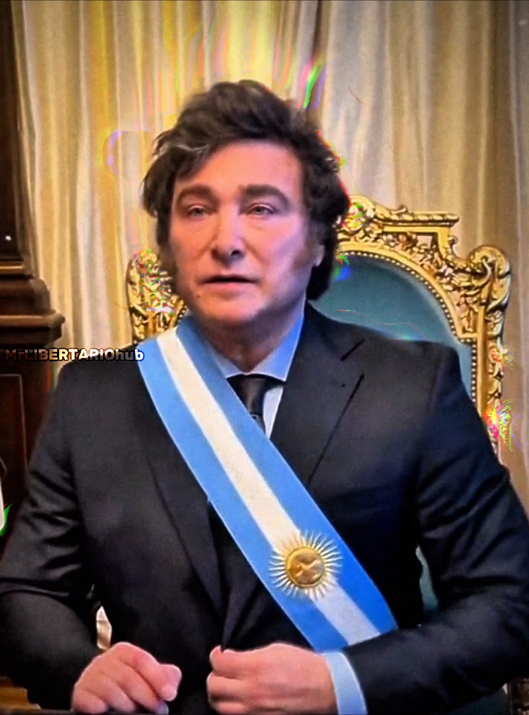 MILEI EL MEJOR PRESIDENTE DE ARGENTINA. FIN #parati #milei #mileipresidente #mileiedit #mrlibertariohub 