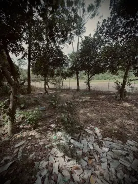 “写信给我们，那些不再是熟人的熟人虽然还是夏天，但已经不再是我们了。” 