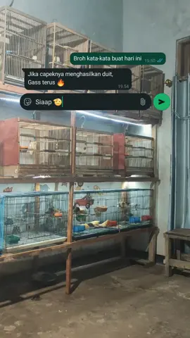 salam satu hobi bosq..🙏🙏#peternakkenariindonesia 