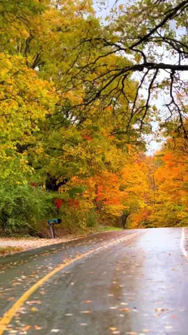 #autumn #fallincanada #october #autumnvibes🍁 #foryou 
