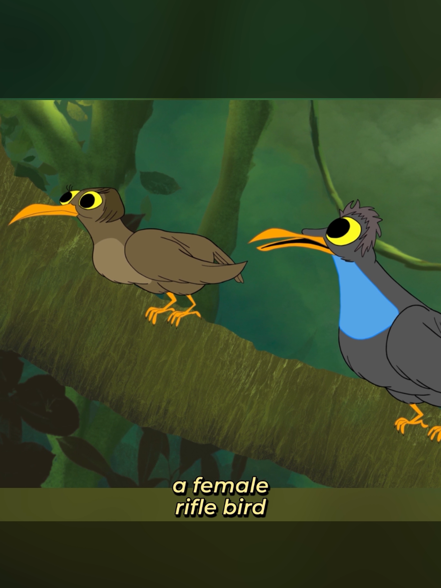 Typa things male birds gotta do to bag some fine shi 💀 #sillyincorporated #fyp 