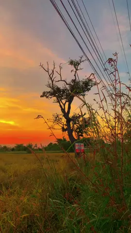 ถ้าแน่เด้อความฝัน#วิวบ้านนอก🍃 #อีสานบ้านเฮา #คิดฮอดบ้าน #เทรนด์วันนี้ #ฟีดดดシ 