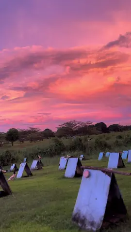 HENNIE @jomar dejuan #highlight #fyp #everyonefollowers #everyone #farmlife 