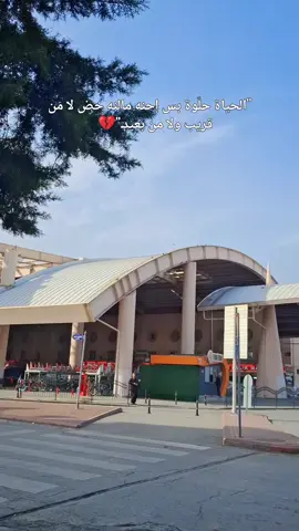#قونيا________________قونيا😌💙 #تصويري📷 #konya42 #مجرد________ذووووووق🎶🎵💞 #شعب_الصيني_ماله_حل😂😂 