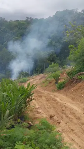 #pypシ #poryoupage #parati 