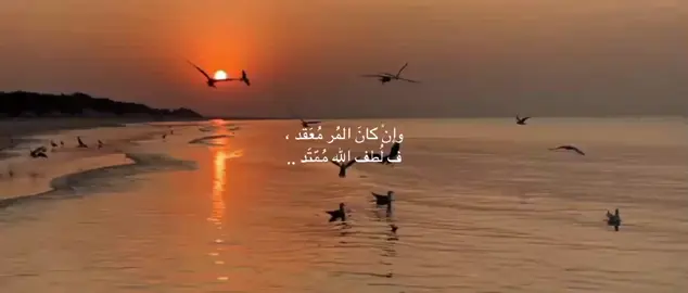 🤍 #فيديوهات_دينية #محتوى_ديني #اجر #foryou #fyp 