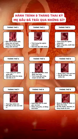 Các mom đang ở tháng thứ mấy của thai kỳ rồi? #mevabe #mangthai #mebau #mebauthongthai #embeduocsi #thaikykhoemanh #LearnOnTikTok #mangthailandau 