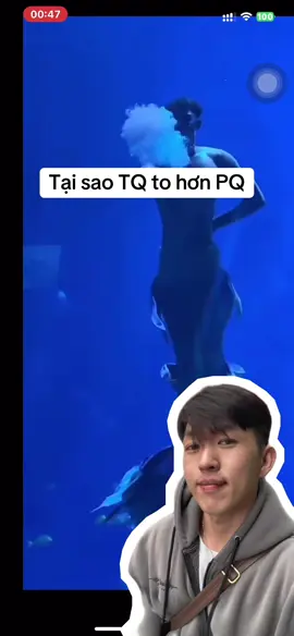 Đừng ai hỏi nữa nhe🫣🫣🫣 ib riêng tui trl kkkk #mermaid #yfp #thuycungphuquoc #vinwonders #phúquốc 