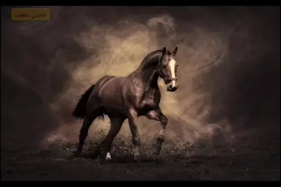 لا تَقتَضي الدَينَ إِلّا بِالقَنا الذُبُلِ #الشعراء #الجاهلية 