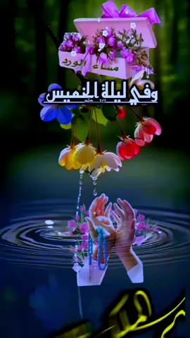 #دعاء_ليلة_الخميس #اللهم إجعل هذه الليلة حافلة ببشائرخيرك وعفوك وإجعل لنا مع نسمات هذه الليلة رزقاً وسعادة وعافية وتوفيقاً و جبراً لخواطرنا واستجابة دعواتنا#اللهم_امين #حالات_واتس #ادعية_يومية_اذكار_مستجابة 