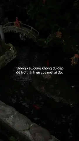 …#tamtrang #story 