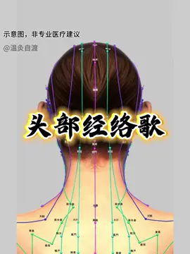 頭部被稱爲“諸陽之會”和“精明之府”。這意味着人體的多條陽經（督脈、膀胱經、膽經、三焦經等等）都匯聚於頭部，人體的清陽之氣也上升於頭。 內容僅爲個人學習理解，僅供參考，不能替代診療。#經絡穴位 #頭部經絡疏通 #中醫知識 #原創作品 #漲知識 
