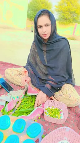 #whalediving #livehighlights #livegift #livehighlights #faryoupage 