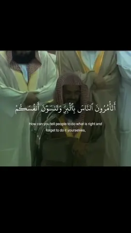 سورة البقره للشيخ سعود الشريم #سعود_الشريم #سورة_البقرة  #قرآن #تلاوة_خاشعة 
