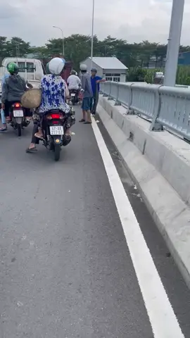 Có mồi roi nge ae