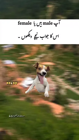 thank you.✋🏻😂#uktiktok #unitedkingdom #viral #plzunfreezmyaccuont #creatorsearchinsights 