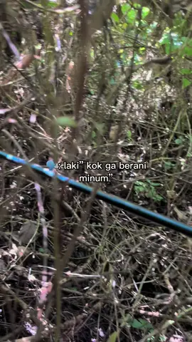 Buang botolmu main ginian 😂 #fyp #masukberanda #fyppppppppppppppppppppppp #fiberoptics #teknisi 
