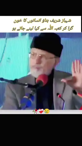 #TahirulQadri #پلزلائک❤اورفالوکریں۔۔۔۔۔۔۔۔۔۔۔۔ #unfreezmyaccount #Plzvedioforyou #islamicvedio سنگت ویڈیو وائرل کرو مہربانی ❤️‍🩹🙏❤️‍🩹🙏❤️‍🩹🙏❤️‍🩹🥀