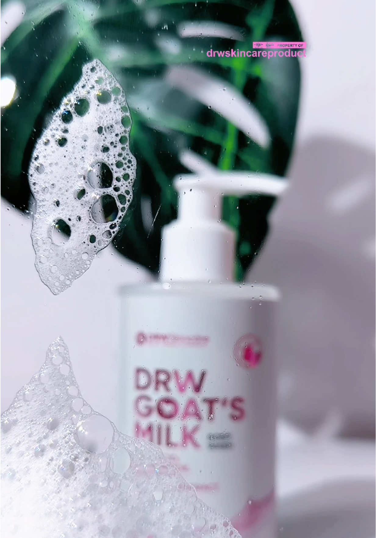 DRW Goat’s Milk Body Wash Sabun Mandi Kojic Cair plus Susu Kambing… Yang merupakan Sabun Mandi Agen Pencerah yang Mudah, Praktis dan Aman digunakan sehari - hari… Cek Manfaatnya untuk kulit : ✅Kojic Acid & Niacinamide : Membantu mencerahkan & mengurangi hiperpigmentasi atau warna bintik hitam pada kulit ✅Panthenol: Membantu melembapkan & menenangkan kulit.. ✅Goat Milk Extract (Susu Kambing) : Membantu menghaluskan & melembutkan kulit Tujuannya : Untuk Membersihkan kotoran & Sel kulit mati , menutrisi, dan mencerahkan kulit tubuh. Yuk, mulai rutinitas cantikmu bareng DRW Goat's Milk Series💗 #GoatsMilkSeries #BodycareRoutine #drwskincare #drwskincareproduct #sabunkojic 