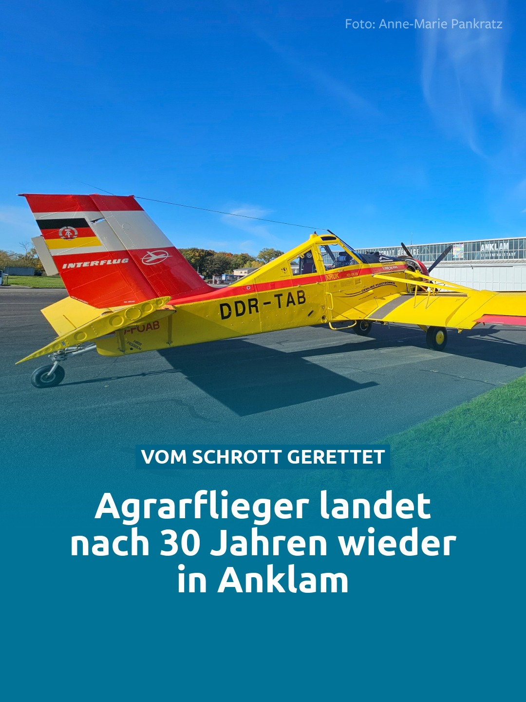✈️💛 Vom Schrott gerettet und wieder im Himmel: Nach 30 Jahren kehrt die letzte fliegende Kruk Europas zurück nach Anklam. 🔥🛠️ Wie viel Herzblut braucht es, um ein Flugzeug vom Schrotthaufen zurück in die Lüfte zu bringen? Pilot Dieter Gehling beweist, dass Träume aus Metall nie ganz vergehen. 👉 Die ganze faszinierende Geschichte liest du im Artikel – Link in der Bio! #Anklam #Luftfahrt #Agrar #Flugzeug