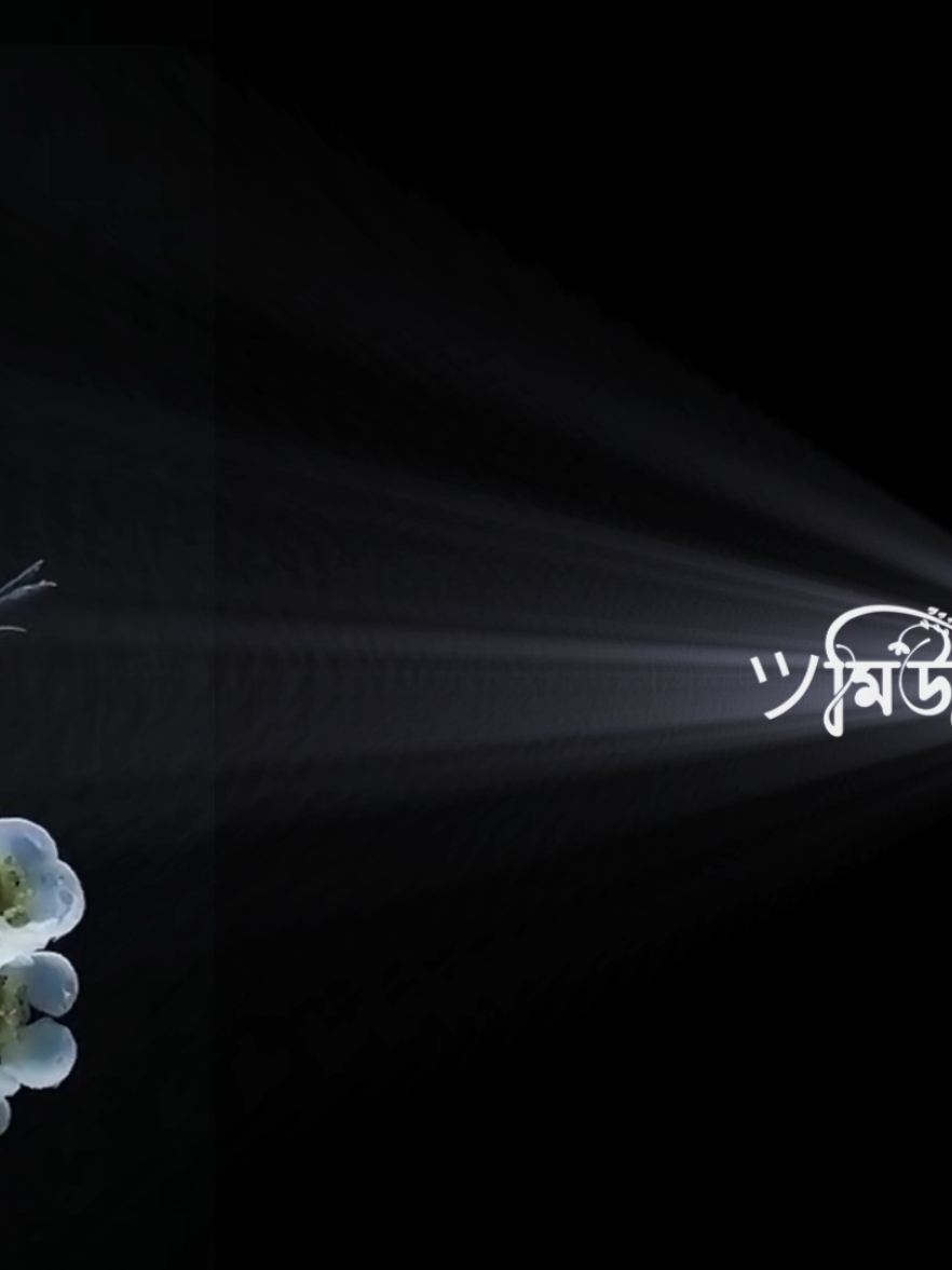 আমি এত নষ্ট ছিলাম নারে পিরিতের আগে...! #বাংলা_স্ট্যাটাস #bangla_song #bd_status_lover_007 #foryou @TikTok 