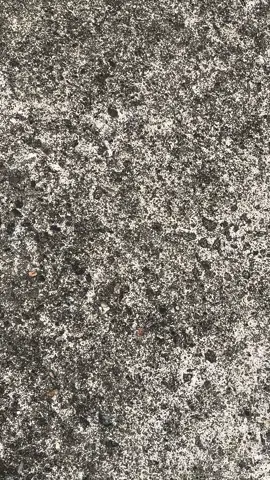 #rxking135cc #rxkingindonesia #byankerokjalanan #byankerok_135cc #fyp 