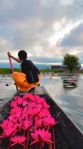 #အပြုံးပိုင်ရှင်လေး 