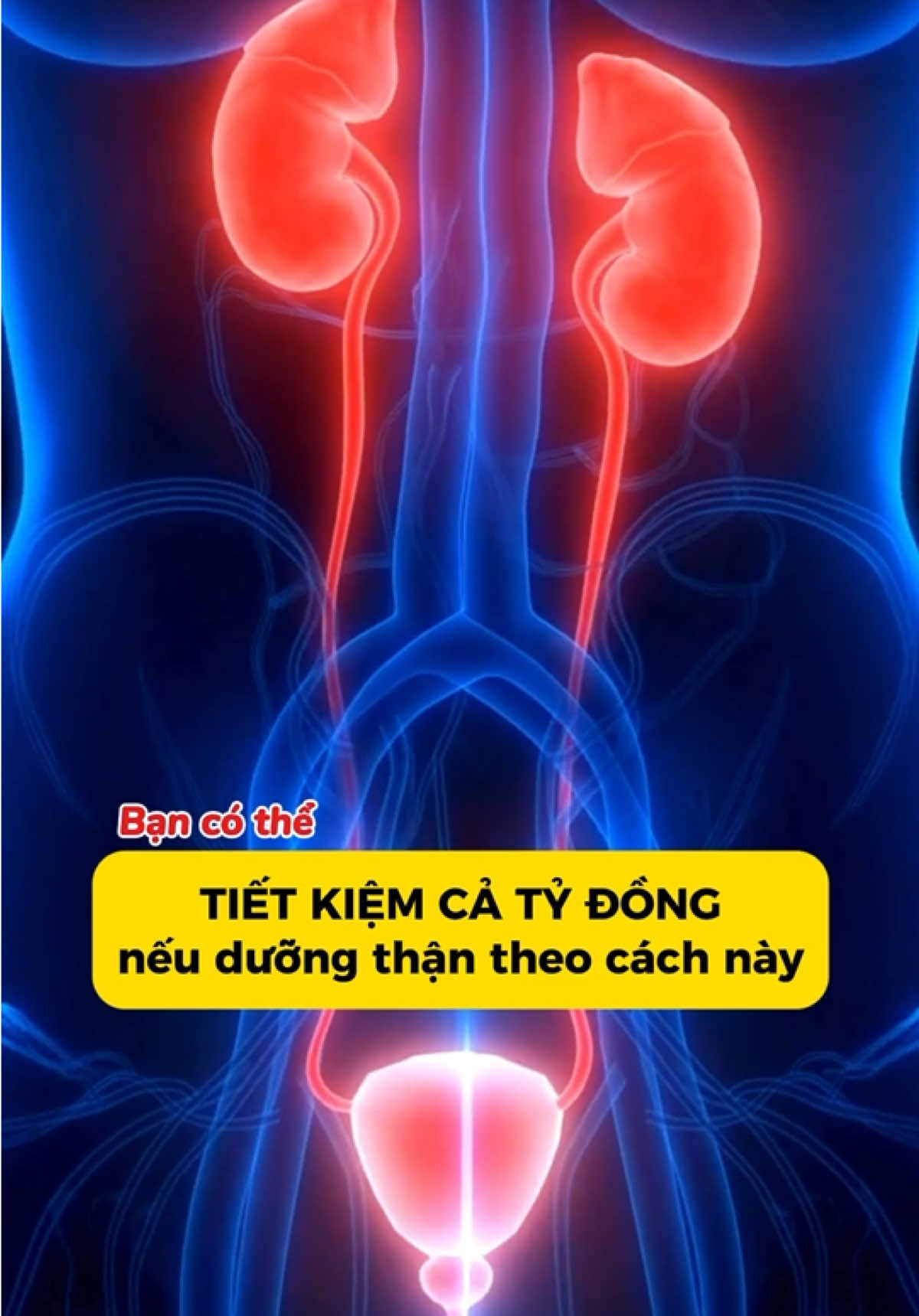 Bạn có thể tiết kiệm cả tỷ đồng nếu dưỡng thận theo cách này  #thanyeuuonggi #trakimtienthao #thanyeuthansuy #biquyetsongkhoe 
