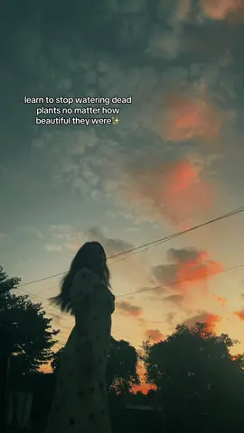 learn to stop watering dead plants no matter how beautiful they were✨ #foryou #foryoupage #trending #tiktok 