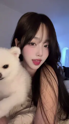 덴지쿤 
