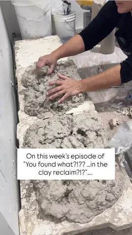 POV: It’s reclaim day at the studio and you never know what you’re gonna find 👀😂 Reclaiming clay = literally peeling up mushy scraps off the plaster slab… flipping… stretching… rolling coils so it dries evenly + fast 🙌♻️ And yes — sometimes we find slip trail tips… glaze chunks… and today’s special guest… a SHAMMY?!?! 😆💀 Pottery keeps us humble y’all. Who else has found something wild in their reclaim bucket?! 👇🤣 #potterystudio #clayreclaim#mollysanyourceramicsisfying   