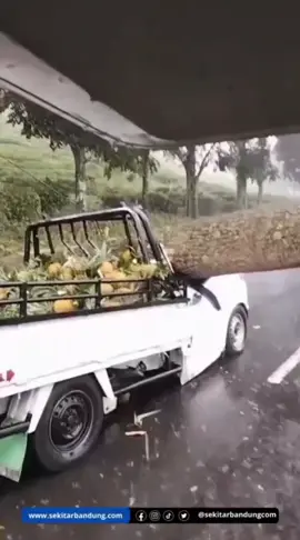 sekitarbandungcom innalillahi,, Pohon tumbang timpa mobil pikap bermuatan nanas yang diduga berisi tiga orang dalam kendaraan di Jalan Raya Nagrog, Desa Palasari, Kecamatan Ciater, Subang, pada Rabu (22/10/2025) sekitar pukul 11.38 WIB. Sementara itu, sejumlah instansi terkait dilaporkan telah bergerak menuju lokasi kejadian untuk melakukan evakuasi, di antaranya Tagana Kabupaten Subang, BPBD Kabupaten Subang, dan Damkar Subang. Tim gabungan tengah on the way ke lokasi guna membantu proses pemotongan pohon dan mengevakuasi para korban.