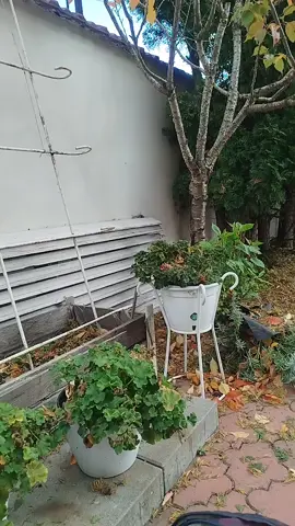 #LIVEIncentiveProgram #LIVEMonetization #PaidPartnership 