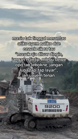 Suwun nggih cah ayu sing ra tau neko-neko😘🫶🏻 @ferlyadena_ #ldystory #storytambang #tambangbatubara #pejuangrupiah #foryou #tambanghitz #tambangbatubarakalimantan #fypシ゚ #kulitambang #ldr ##xybca 
