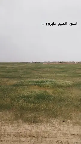 #اسمع،الضيم،داير10💀 #تصويري_احترافي_الاجواء👌🏻🕊😴 