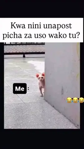 #ucy #fypppppppppppppppppppppppp 