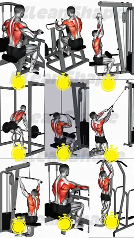 Top back workout 🏋️ share and save them to practice in your next workout training!!!! #WorkoutRoutine #Fitness #backworkout #Exercise #Gym 