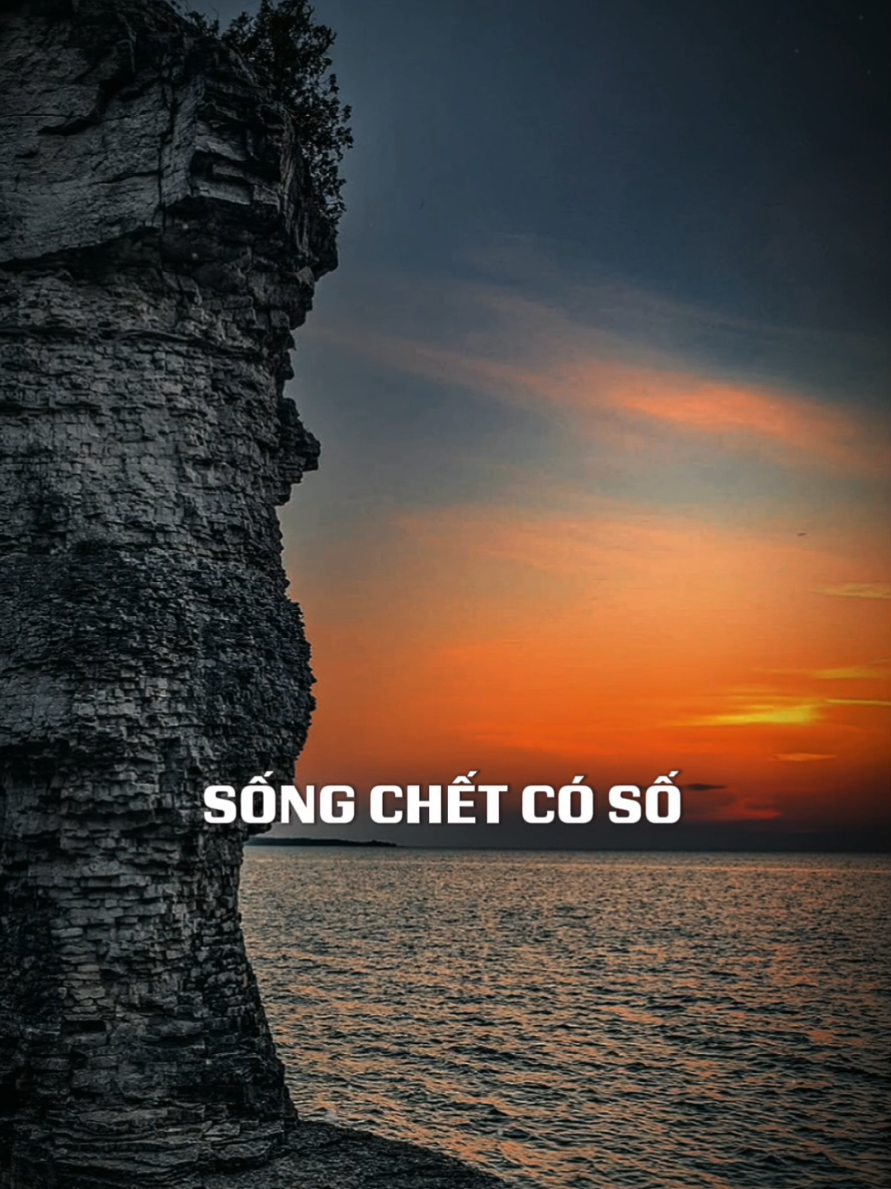 Thiên Mệnh An Bài 2: #capcut #capcutpioneer #pioneertemplate #trend #tramblues 