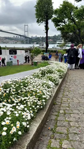 #istanbul #foryoupage #explor  