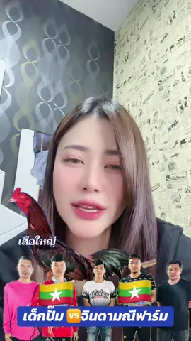 เด็กปั๊ม 🆚จินดามณีฟาร์ม#อาหมวยชนไก่ #เด็กปั้ม #จินดามณีฟาร์ม #เจ้าเสือใหญ่🐓🏆 #เจ้าอลงกต 