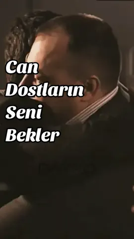 Can dostuna gönder 👑 #kurtlarvadisi #polatalemdar #suleymancakır 