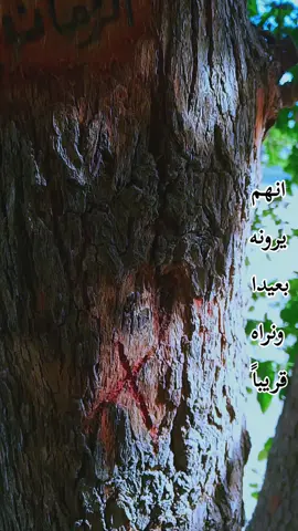 #بداية لابد من معرفة مفهوم الانتظار : ( ان المفهوم الاسلامي الواعي الصحيح للانتظار، هو التوقع الدائم لتنفيذ الغرض الالهي الكبير، وحصول اليوم الموعود الذي تعيش فيه البشرية العدل الكامل بقيادة واشراف الامام المهدي عليه السلام .)  اقول : ويمكن ملاحظة ذلك بوضوح في دعاء العهد الشريف ( ... اَللّـهُمَّ اكْشِفْ هذِهِ الْغُمَّةَ عَنْ هذِهِ الاُْمَّةِ بِحُضُورِهِ ، وَ عَجِّلْ لَنا ظُهُورَهُ ، اِنَّهُمْ يَرَوْنَهُ بَعيداً وَ نَراهُ قَريباً ، بِرَحْمَتِـكَ يـا اَرْحَمَ الرّاحِمينَ ... ) ولذا يمكن القول ان من يستبعد ظهور الإمام المهدي عليه السلام بمعنى انه لا يقول بقرب ظهوره سلام الله عليه يكون في خانة الانتظار السلبي او قل الانتظار الخاطئ.... وهنا ولأجل الزيادة في البيان انقل لكم ما جاء في كتاب موسوعة الامام المهدي للسيد الشهيد محمد محمد صادق الصدر قدس : ( لا يكون الفرد على مستوى الانتظار المطلوب، الا بتوفر عناصر ثلاثة مقترنة: عقائدية ونفسية وسلوكية. ولولاها لا يبقى للانتظار أي معنى ايماني صحيح، سوى التعسف النفسي المبني على المنطق القائل: اذهب انت وربك فقاتلا، أنا ههنا قاعدون... المنتج لتمني الخير للبشرية من دون أي عمل ايجابي في سبيل ذلك. .... الى ان يقول سماحته : العنصر الثاني: الجانب النفسي للانتظار. ويتكون من امرين رئيسيين: الامر الاول: الاستعداد الكامل لتطبيق الاطروحة العادلة الكاملة عليه، كواحد من البشر، على أقل تقدير، ان لم يكن من الدعاة اليها والمضحين في سبيلها. الأمر الثاني: توقع البدء بتطبيق الاطروحة العادلة الكاملة أو بزوغ فجر الظهور في أي وقت... لما قلناه من انه منوط بارادة الله تعالى، بشكل لا يمكن لغيره التعيين أو التوقيت. ومن المحتمل ان يشاء الله تعالى ذلك في أي وقت. مضافا الى الاخبار الدالة على حصوله فجأة بغتة، وسنروي طرفاً منها فيما يأتي. وهذا الشعور يمكن ان يوجد في نفس الفرد المؤمن باليوم الموعود، طبقاً لاي من الامور الثلاثة في العنصر الاول، وطبقا لمجموعها ايضاً. ويكون شعوراً طيباً على نفسه مرضياً لضميره، باعتبار ما يتضمنه من شعور بالاخلاص تجاه نفسه ومجتمعه وأمته... وهي الجهات التي سوف ينتشلها اليوم الموعود من المشاكل والظلم. واذا تم لدى الفرد الشعور بهذين الامرين في نفسه، فقد تم لديه العنصر الثاني، واستطاع ان يتقبل بسهولة ورحابة صدر العنصر الآتي. العنصر الثالث: الجانب السلوكي للانتظار. ويتمثل بالالتزام الكامل بتطبيق الاحكام الالهية السارية في كل عصر، على سائر علاقات الفرد وافعاله واقواله، حتى يكون متبعا للحق الكامل والهدى الصحيح، فيكتسب الارادة القوية والاخلاص الحقيقي الذي يؤهله للتشرف بتحمل طرف من مسؤوليات اليوم الموعود. وهذا السلوك ضروري وملزم لكل من يؤمن باليوم الموعود، على أي من المستويات السابقة، فضلاً عن مجموعها. وبخاصة المسلمين الذين قام البرهان لديهم بان المهدي d يطبق اطروحته العادلة الكاملة متمثلة في احكام دينهم الحنيف. واما المسلم الامامي الذي يعلم بان قائده معاصر معه، يراقب اعماله ويعرف اقواله، ويأسف لسوء تصرفه... فهو مضافا الى وجوب اعداد نفسه لليوم الموعود، يجب ان يكون على مستوى المسؤولية في حاضره ايضا، وفي كل ايام حياته، لكي لا يكون عاصياً لقائده متمرداً على تعاليمه. وهذا الاحساس نفسه، يسرع بالفرد الى النتيجة المطلوبة، وهو النجاح في التمحيص، والاعداد لليوم الموعود. اقول : ومن ذلك يتضح ان الانتظار الايجابي ( الواعي الصحيح ) هو ذلك الانتظار المبني على العمل او بتعبير اخر على الاصلاح على المستوى الفردي والغيري او قل الشخصي والمجتمعي مضافاً الى توقع الظهور المبارك في كل لحظة ...