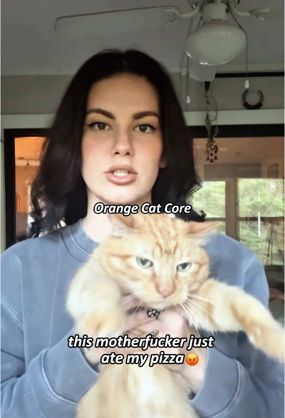 Typically orange cat behavior#orangecat #cat#funnycats #funnyanimals #petvideos #cat #catsoftiktok #fyp #usa #longervideos