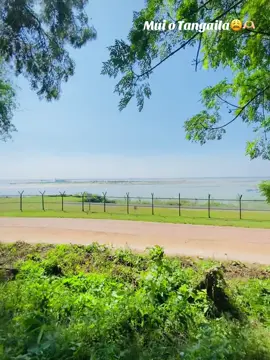 #tangaila #creatorsearchinsights #foryoupageofficiall #tangail2025 #tangail_bdtiktokfficial🇧🇩 